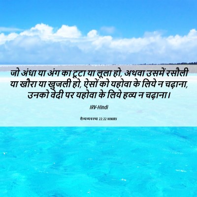 Picture 06 - लैव्यव्यवस्था 22:22 HINIRV - जो अंधा या अंग का - Bible Verse Picture