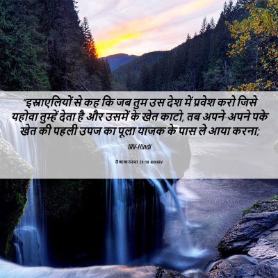 Picture 06 - लैव्यव्यवस्था 23:10 HINIRV - “इस्राएलियों से - Bible Verse Picture