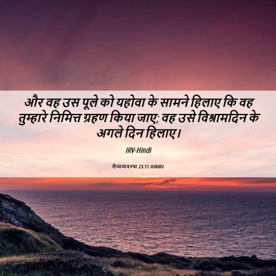 Picture 06 - लैव्यव्यवस्था 23:11 HINIRV - और वह उस पूले को - Bible Verse Picture