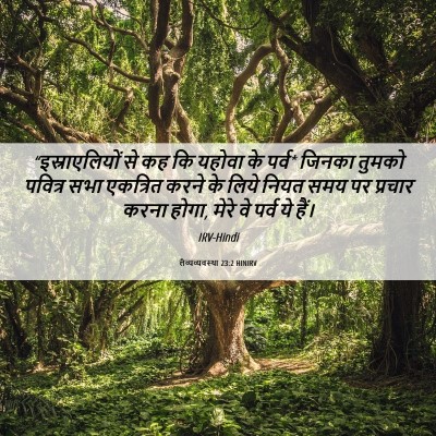 Picture 06 - लैव्यव्यवस्था 23:2 HINIRV - “इस्राएलियों से - Bible Verse Picture