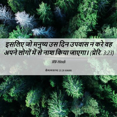 Picture 06 - लैव्यव्यवस्था 23:29 HINIRV - इसलिए जो मनुष्य उस - Bible Verse Picture