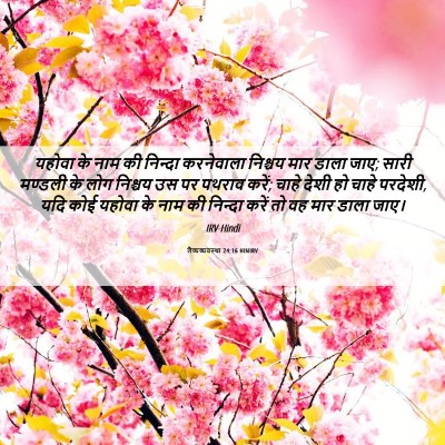 Picture 06 - लैव्यव्यवस्था 24:16 HINIRV - यहोवा के नाम की - Bible Verse Picture
