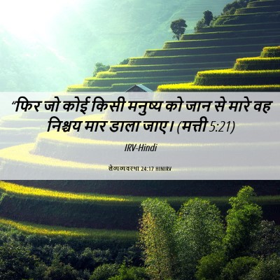 Picture 06 - लैव्यव्यवस्था 24:17 HINIRV - “फिर जो कोई किसी - Bible Verse Picture