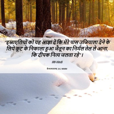 Picture 06 - लैव्यव्यवस्था 24:2 HINIRV - “इस्राएलियों को - Bible Verse Picture