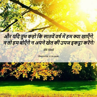 Picture 06 - लैव्यव्यवस्था 25:20 HINIRV - और यदि तुम कहो कि - Bible Verse Picture