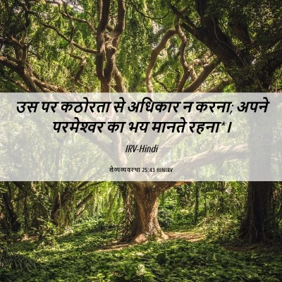Picture 06 - लैव्यव्यवस्था 25:43 HINIRV - उस पर कठोरता से - Bible Verse Picture