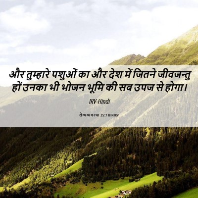 Picture 06 - लैव्यव्यवस्था 25:7 HINIRV - और तुम्हारे पशुओं - Bible Verse Picture