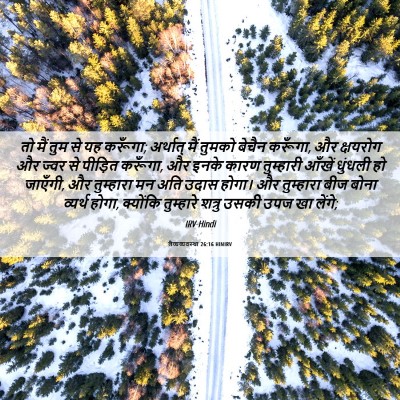 Picture 06 - लैव्यव्यवस्था 26:16 HINIRV - तो मैं तुम से यह - Bible Verse Picture