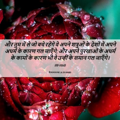 Picture 06 - लैव्यव्यवस्था 26:39 HINIRV - और तुम में से जो - Bible Verse Picture