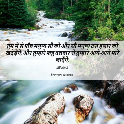 Picture 06 - लैव्यव्यवस्था 26:8 HINIRV - तुम में से पाँच - Bible Verse Picture