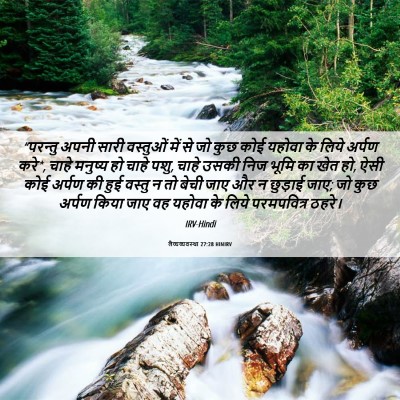 Picture 06 - लैव्यव्यवस्था 27:28 HINIRV - “परन्तु अपनी सारी - Bible Verse Picture