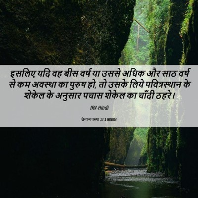 Picture 06 - लैव्यव्यवस्था 27:3 HINIRV - इसलिए यदि वह बीस - Bible Verse Picture