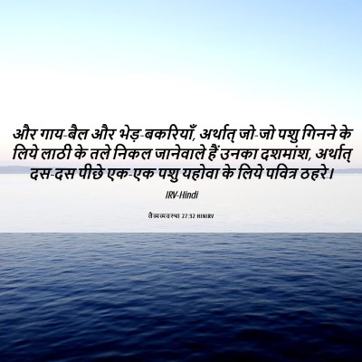 Picture 06 - लैव्यव्यवस्था 27:32 HINIRV - और गाय-बैल और - Bible Verse Picture