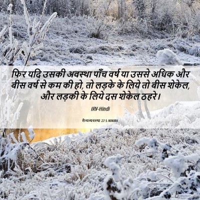 Picture 06 - लैव्यव्यवस्था 27:5 HINIRV - फिर यदि उसकी - Bible Verse Picture