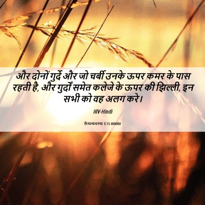 Picture 06 - लैव्यव्यवस्था 3:15 HINIRV - और दोनों गुर्दे और - Bible Verse Picture