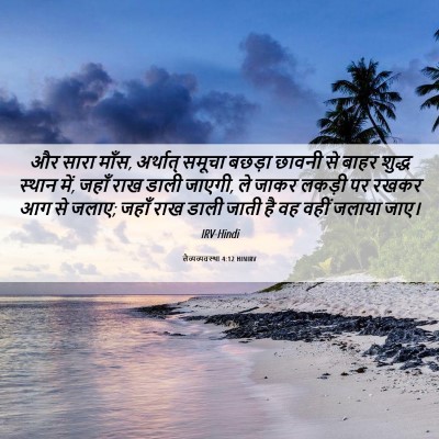 Picture 06 - लैव्यव्यवस्था 4:12 HINIRV - और सारा माँस, - Bible Verse Picture