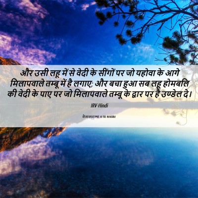 Picture 06 - लैव्यव्यवस्था 4:18 HINIRV - और उसी लहू में से - Bible Verse Picture