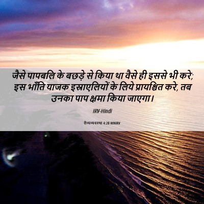 Picture 06 - लैव्यव्यवस्था 4:20 HINIRV - जैसे पापबलि के - Bible Verse Picture