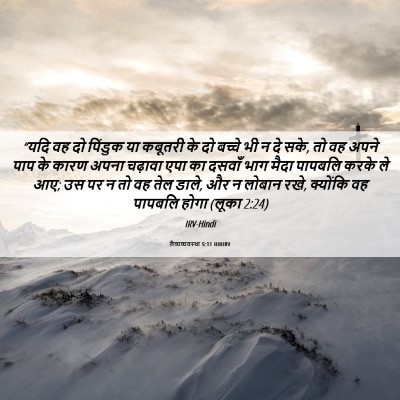 Picture 06 - लैव्यव्यवस्था 5:11 HINIRV - “यदि वह दो पिंडुक - Bible Verse Picture