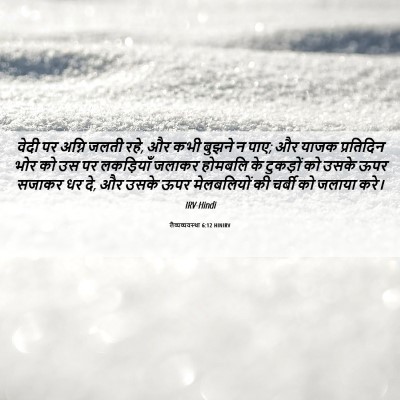 Picture 06 - लैव्यव्यवस्था 6:12 HINIRV - वेदी पर अग्नि जलती - Bible Verse Picture