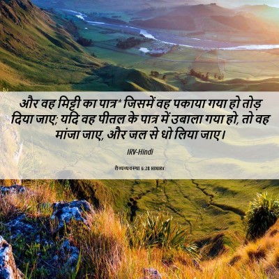 Picture 06 - लैव्यव्यवस्था 6:28 HINIRV - और वह मिट्टी का - Bible Verse Picture