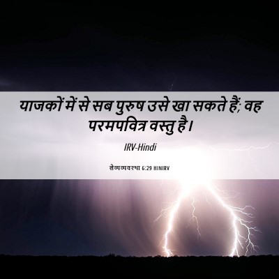 Picture 06 - लैव्यव्यवस्था 6:29 HINIRV - याजकों में से सब - Bible Verse Picture