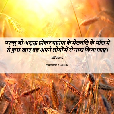 Picture 06 - लैव्यव्यवस्था 7:20 HINIRV - परन्तु जो अशुद्ध - Bible Verse Picture