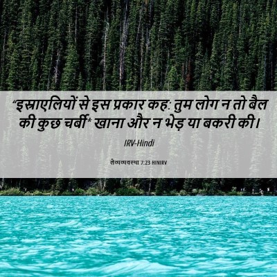 Picture 06 - लैव्यव्यवस्था 7:23 HINIRV - “इस्राएलियों से - Bible Verse Picture