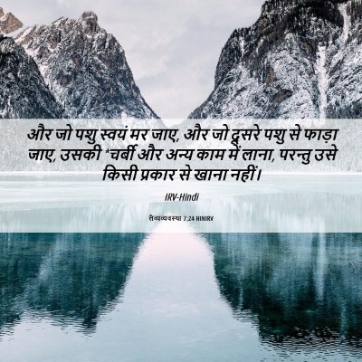 Picture 06 - लैव्यव्यवस्था 7:24 HINIRV - और जो पशु स्वयं मर - Bible Verse Picture