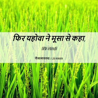 Picture 06 - लैव्यव्यवस्था 7:28 HINIRV - फिर यहोवा ने मूसा - Bible Verse Picture