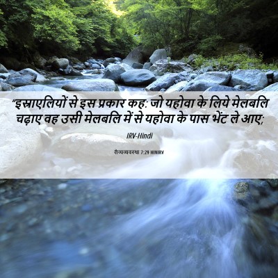Picture 06 - लैव्यव्यवस्था 7:29 HINIRV - “इस्राएलियों से - Bible Verse Picture