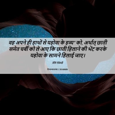 Picture 06 - लैव्यव्यवस्था 7:30 HINIRV - वह अपने ही हाथों से - Bible Verse Picture