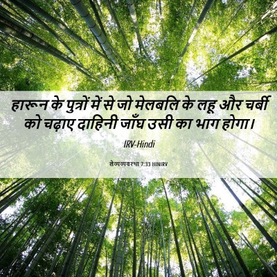 Picture 06 - लैव्यव्यवस्था 7:33 HINIRV - हारून के पुत्रों - Bible Verse Picture