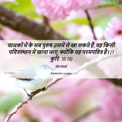 Picture 06 - लैव्यव्यवस्था 7:6 HINIRV - याजकों में के सब - Bible Verse Picture