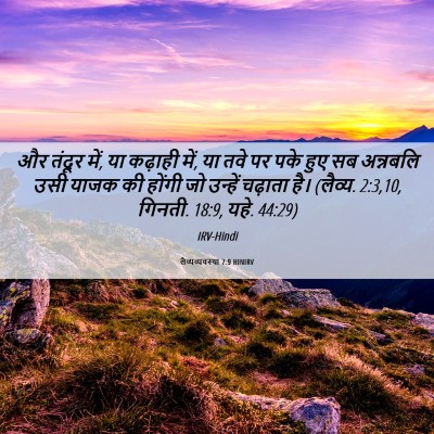 Picture 06 - लैव्यव्यवस्था 7:9 HINIRV - और तंदूर में, या - Bible Verse Picture