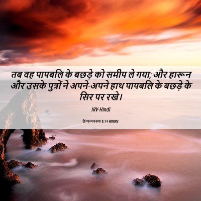 Picture 06 - लैव्यव्यवस्था 8:14 HINIRV - तब वह पापबलि के - Bible Verse Picture