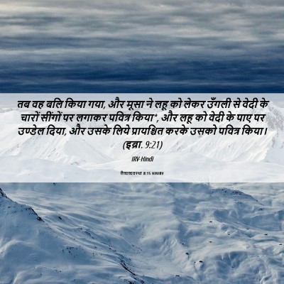 Picture 06 - लैव्यव्यवस्था 8:15 HINIRV - तब वह बलि किया गया, - Bible Verse Picture