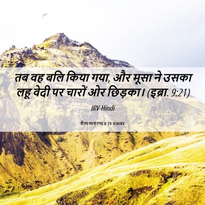 Picture 06 - लैव्यव्यवस्था 8:19 HINIRV - तब वह बलि किया गया, - Bible Verse Picture
