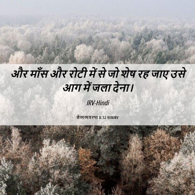 Picture 06 - लैव्यव्यवस्था 8:32 HINIRV - और माँस और रोटी में - Bible Verse Picture