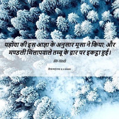 Picture 06 - लैव्यव्यवस्था 8:4 HINIRV - यहोवा की इस आज्ञा - Bible Verse Picture