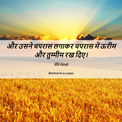 Picture 06 - लैव्यव्यवस्था 8:8 HINIRV - और उसने चपरास - Bible Verse Picture