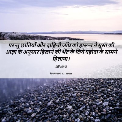 Picture 06 - लैव्यव्यवस्था 9:21 HINIRV - परन्तु छातियों और - Bible Verse Picture