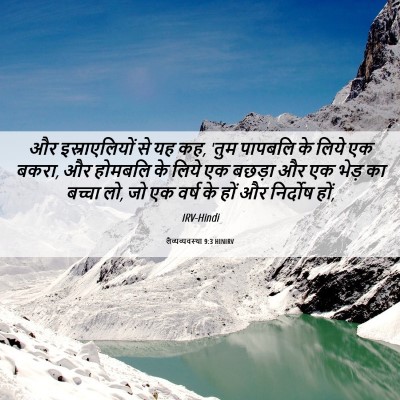 Picture 06 - लैव्यव्यवस्था 9:3 HINIRV - और इस्राएलियों से - Bible Verse Picture
