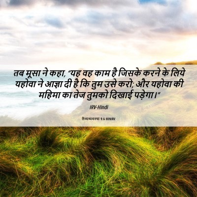 Picture 06 - लैव्यव्यवस्था 9:6 HINIRV - तब मूसा ने कहा, “यह - Bible Verse Picture