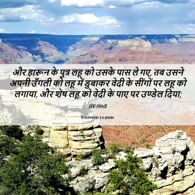 Picture 06 - लैव्यव्यवस्था 9:9 HINIRV - और हारून के पुत्र - Bible Verse Picture