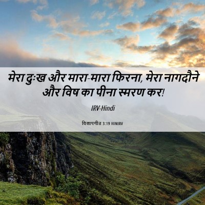 Picture 06 - विलापगीत 3:19 HINIRV - मेरा दुःख और - Bible Verse Picture