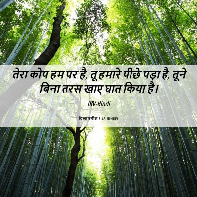 Picture 06 - विलापगीत 3:43 HINIRV - तेरा कोप हम पर है, - Bible Verse Picture