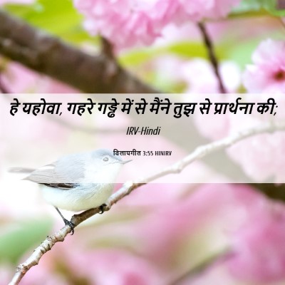 Picture 06 - विलापगीत 3:55 HINIRV - हे यहोवा, गहरे - Bible Verse Picture