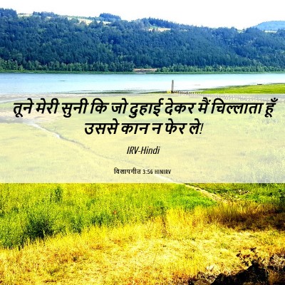 Picture 06 - विलापगीत 3:56 HINIRV - तूने मेरी सुनी कि - Bible Verse Picture
