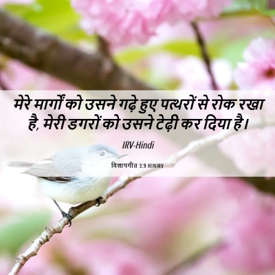 Picture 06 - विलापगीत 3:9 HINIRV - मेरे मार्गों को - Bible Verse Picture